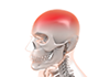 Head ｜ Illness ｜ Red / Headache ｜ Science / Medicine ｜ Men and Women / Body / Structure ――Free Illustration Material ――Medical ｜ Nursing ｜ Hospital ｜ Person