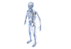 Bone ｜ Men ｜ Medicine / Skeleton ｜ Disease / Yamai ｜ Medicine / Character ――Free Illustration Material ――Medical ｜ Nursing ｜ Hospital ｜ Person