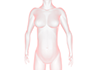 Body ｜ Women ｜ Body / Naked ｜ Medical Equipment / Technology ｜ Human Body / Explanation --Free Illustration Material --Medical ｜ Nursing ｜ Hospital ｜ People