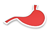 Stomach Icon ｜ Red ｜ Silhouette / Mark ｜ Medical Facility / Interview ｜ Nurse / Nurse ――Free Illustration Material ――Medical ｜ Nursing ｜ Hospital ｜ Person