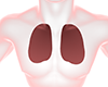 Lung ｜ Person ｜ Illness ――Free Illustration Material ――Medical Care ｜ Nursing Care ｜ Hospital ｜ Person