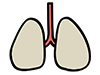 Lungs | Internal organs-Medical care | Nursing care / welfare | Free illustrations